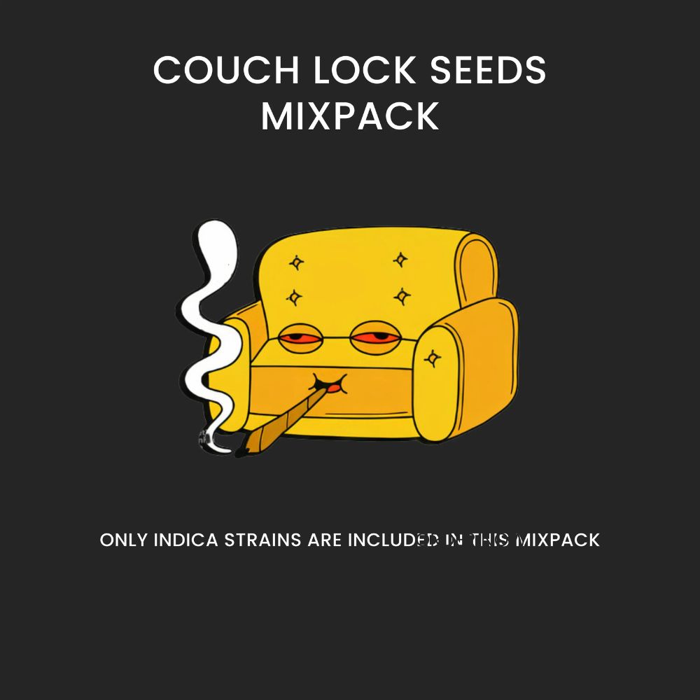 Couch Lock Mixpack Cannabissamen-Verpackung — Royal King Seeds Deutschland