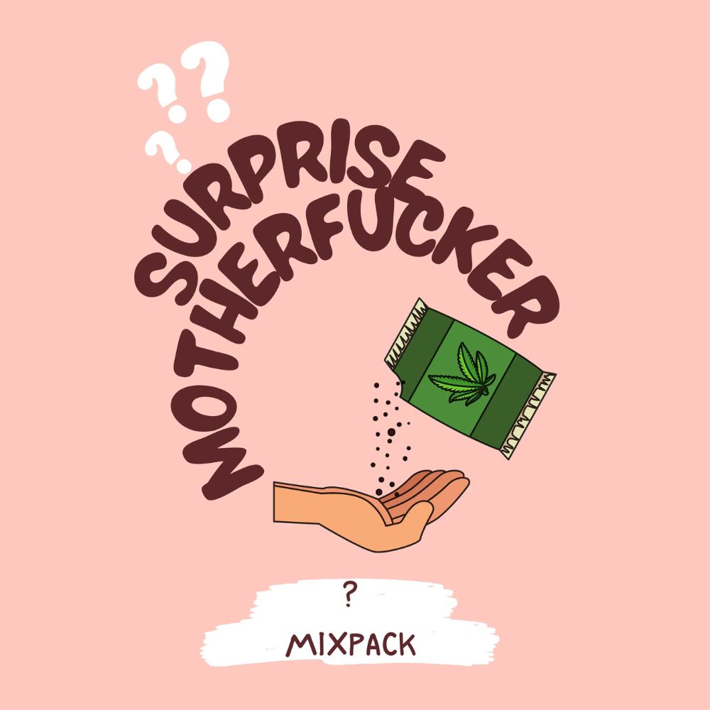 Surprise MFCKR Mixpack Cannabissamen-Verpackung — Royal King Seeds Deutschland